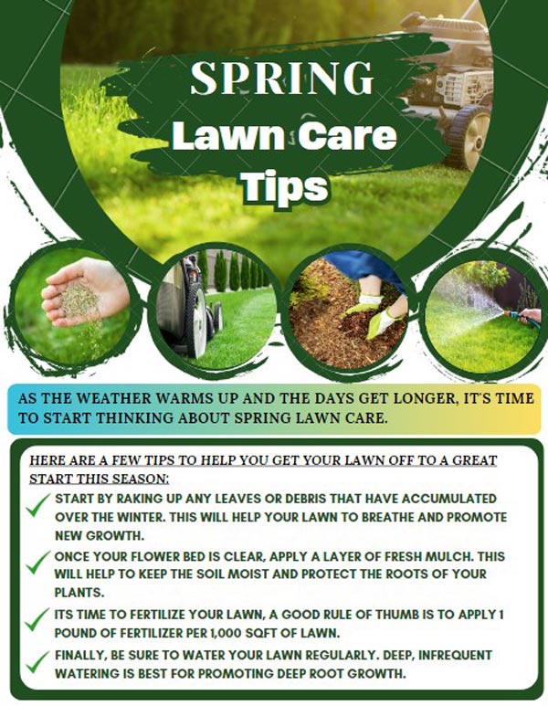 Spring Care Tips